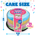 Rainbow 13oz Jumbo Cotton Candy Cake
